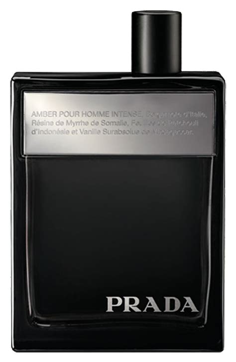 prada amber pour homme probe|amber pour homme intense.